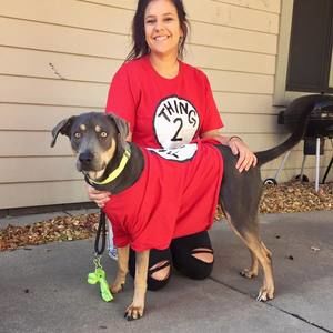 Meet your Posher, Sydney